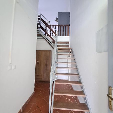 Studio Myla2Jo Camp de Rémire Zewnętrze zdjęcie